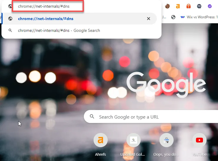 Chrome address bar with the net-internals DNS page URL typed in, outlined in red