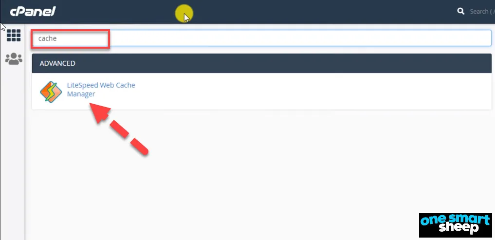 cPanel search results with a red arrow pointing to the LiteSpeed Web Cache Manager link