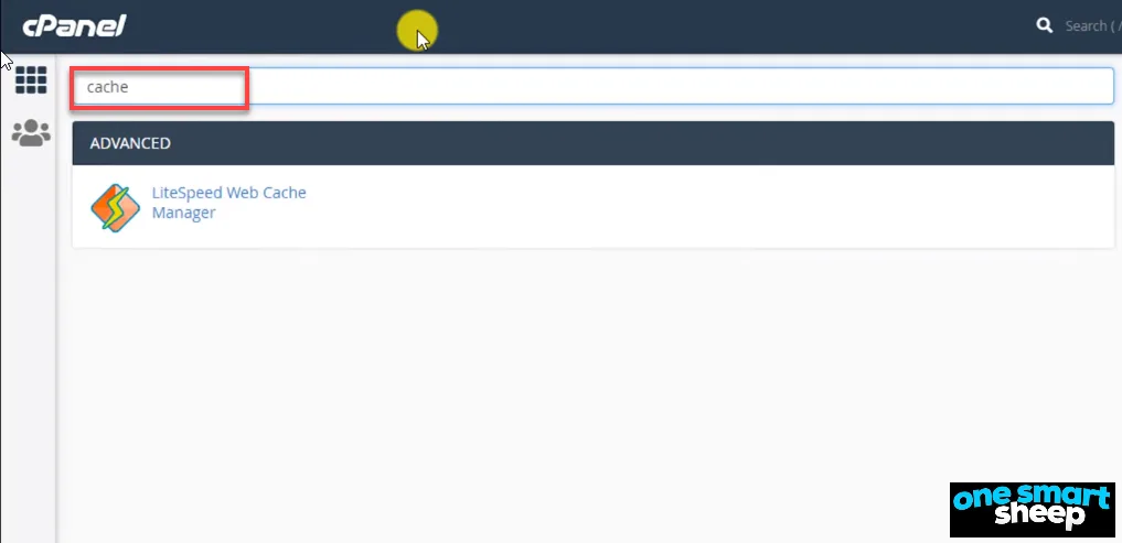 cPanel search field with the word cache typed in, returning LiteSpeed Web Cache Manager under Advanced