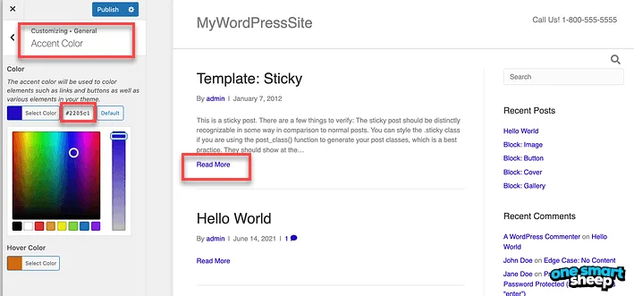 WordPress Customizer Accent Color panel with the hex field outlined in red and a Read More link highlighted in the preview