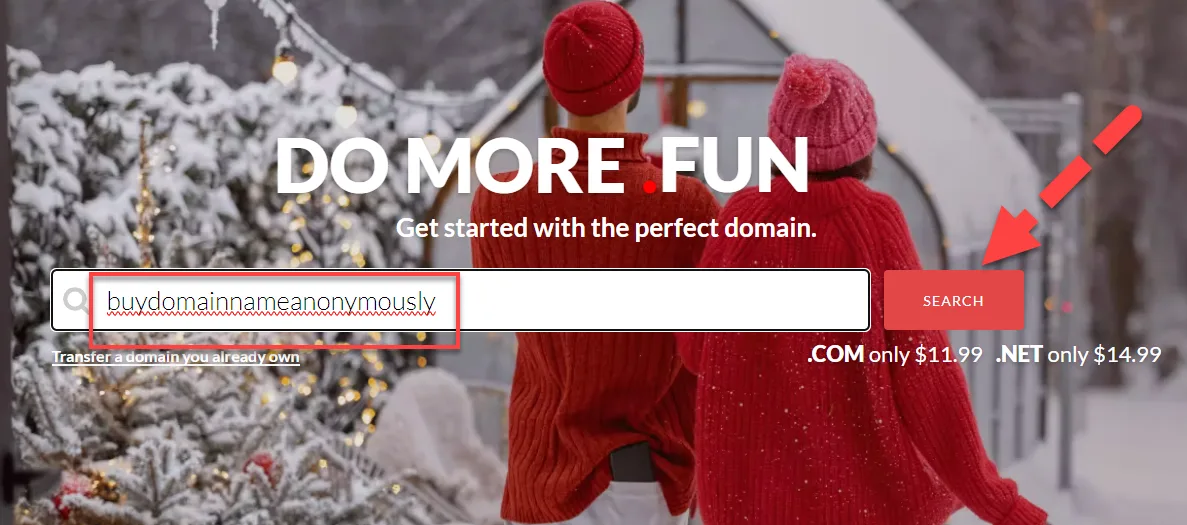 Domain.com homepage with a domain name typed into the search field and a red arrow pointing to the Search button
