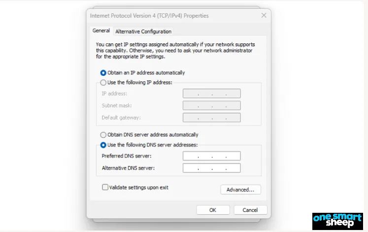 Windows IPv4 properties with Use the following DNS server addresses selected and the preferred and alternative fields empty