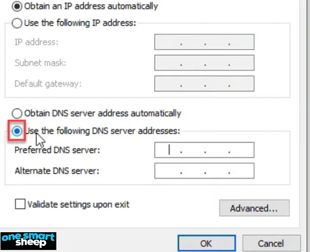 IPv4 properties with the Use the following DNS server addresses radio button selected and outlined in red, fields empty