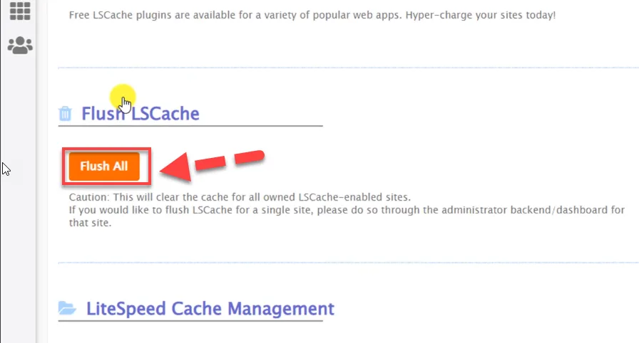 LiteSpeed Cache Manager with a red arrow pointing to the orange Flush All button under Flush LSCache