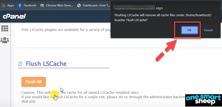 Browser confirmation dialog asking to flush LSCache, with a red arrow pointing to the OK button