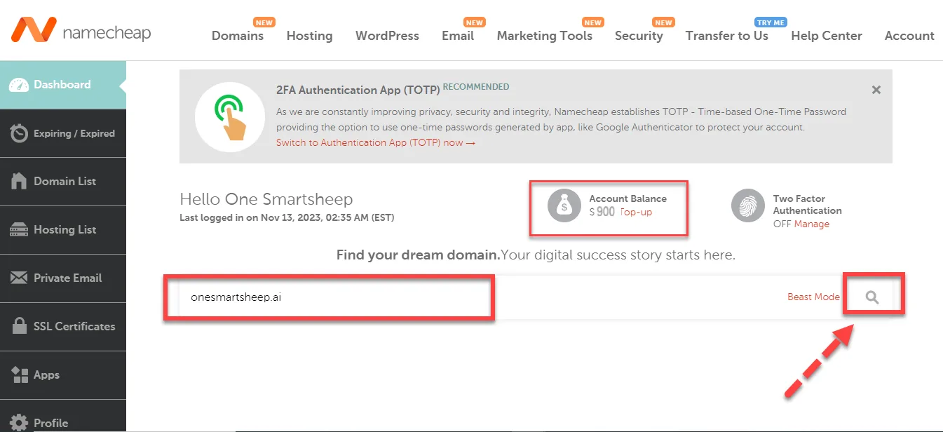 Namecheap dashboard showing a 900 dollar account balance with a domain typed into the search field and the search button outlined in red