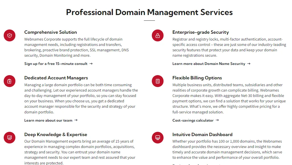 Professional domain management services page listing comprehensive solution, dedicated account managers, enterprise grade security and flexible billing
