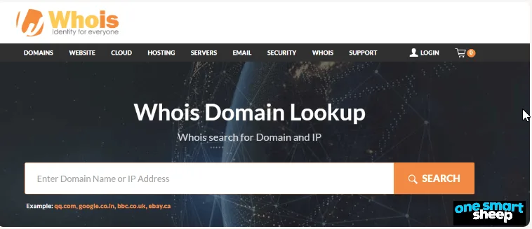 Whois Domain Lookup page with a search field for entering a domain name or IP address