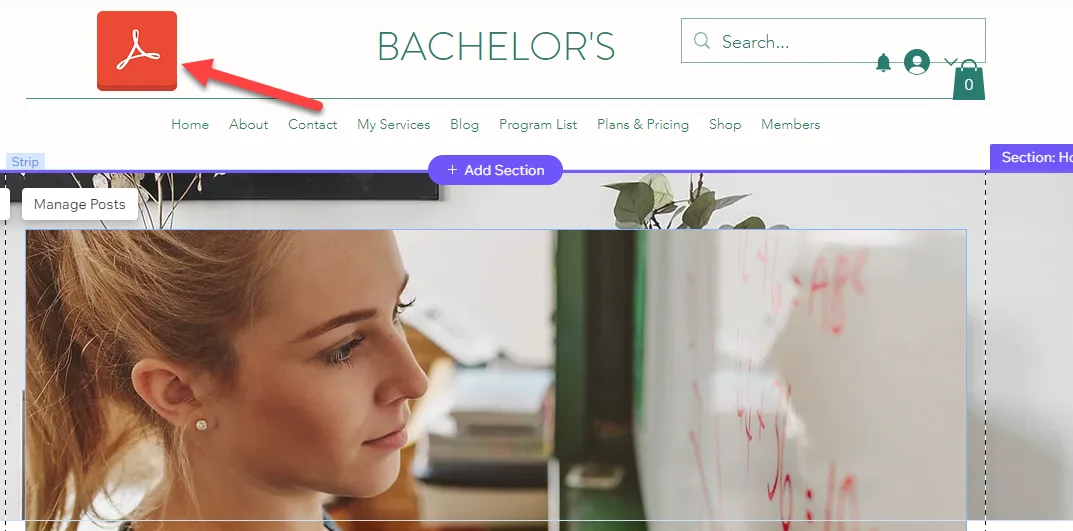 Wix site header with a red arrow pointing to the newly placed red PDF document button